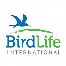birdlife-international